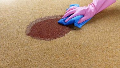 چگونه لکه لبو را از روی فرش پاک کنیم؟؛ How to remove beetroot stains from carpet?