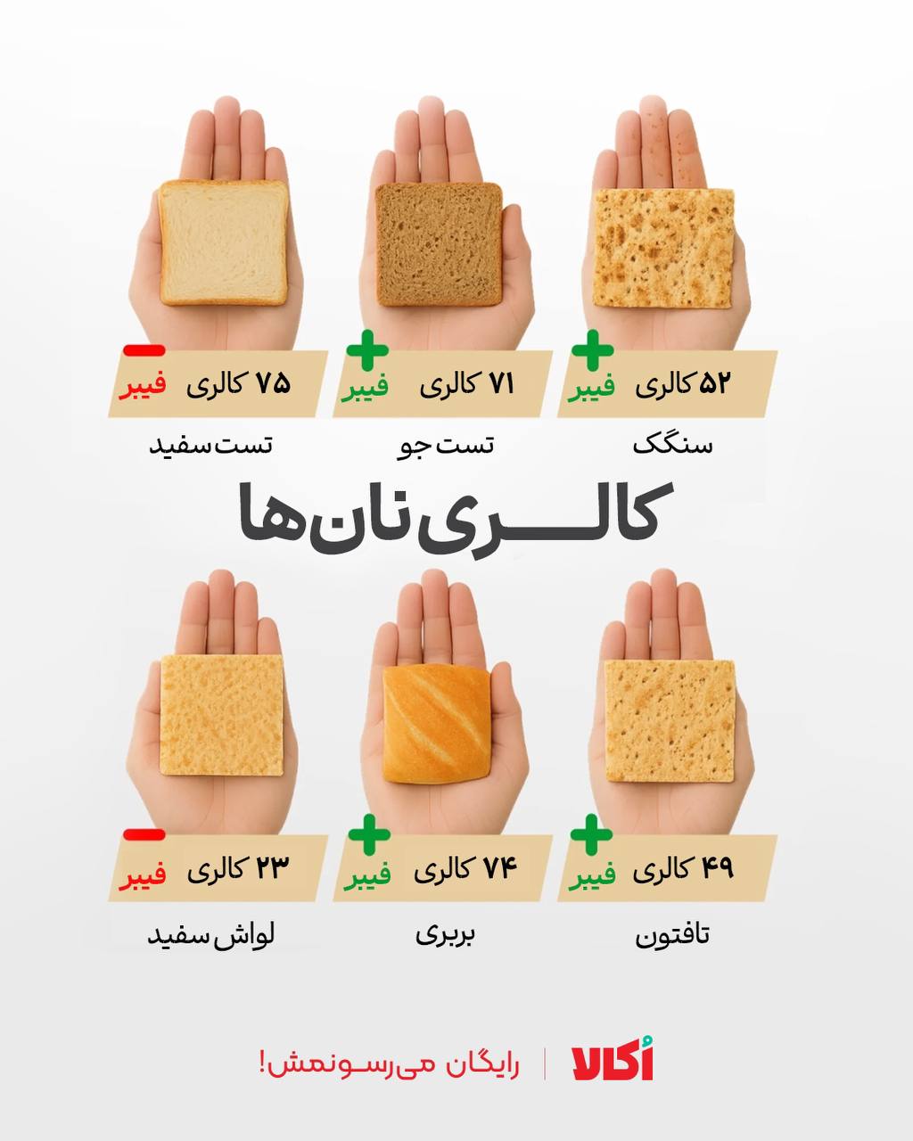 میزان کالری انواع نان