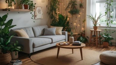 برای هر فضای خانه چه گیاهی مناسب است؟ از آشپزخانه تا اتاق خواب