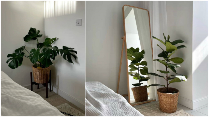 روش تشخیص مکان مناسب برای هر گیاه