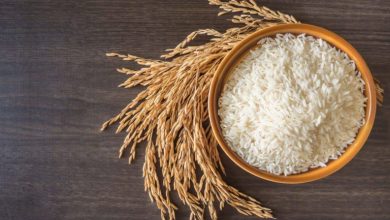 ظرف مناسب برای نگهداری برنج