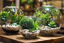 معرفی انواع تراریوم باز و بسته و نکات نگهداری