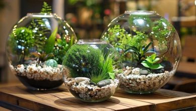 معرفی انواع تراریوم باز و بسته و نکات نگهداری