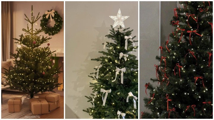 نورپردازی مناسب برای یک کریسمس اقتصادی نورپردازی مناسب برای یک کریسمس اقتصادی