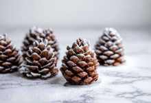 طرز تهیه دسر مخروطی کاج؛ مناسب شب کریسمس