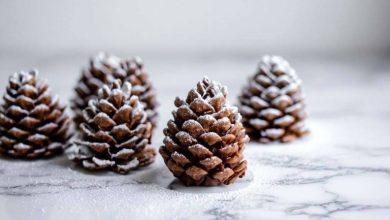 طرز تهیه دسر مخروطی کاج؛ مناسب شب کریسمس