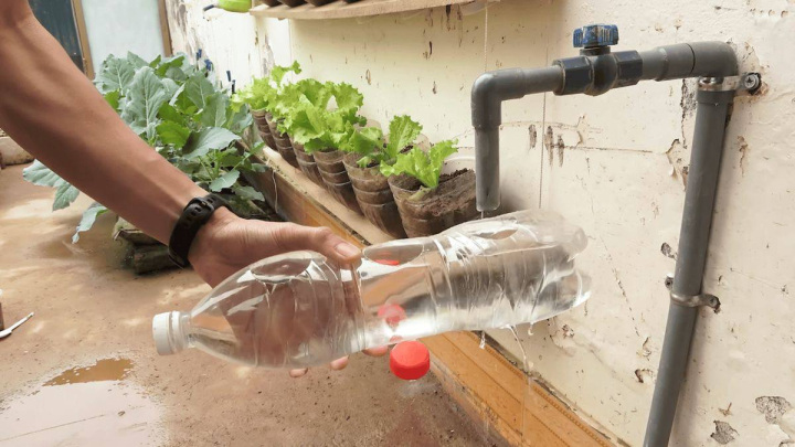 راهنمای کاشت سیر در بطری پلاستیکی