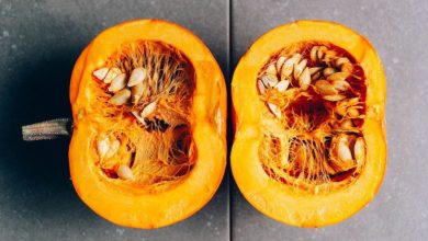 ۵ علت تلخ شدن کدو حلوایی + راه‌حل حرفه‌ای آشپزها