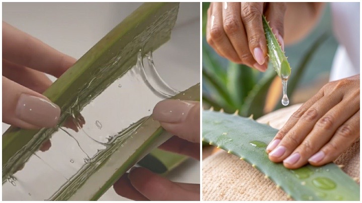 روشن شدن تدریجی اما مطمئن پوست دست با ژل آلوئهورا روشن شدن تدریجی اما مطمئن پوست دست با ژل آلوئهورا