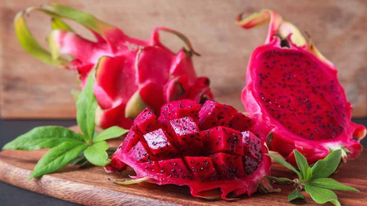 نکات کاشت دراگون کاشته شده در گلدان