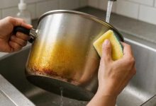 چرا قابلمه استیل زرد می‌شود؟ ۵ علت اصلی + راه‌حل دائمی