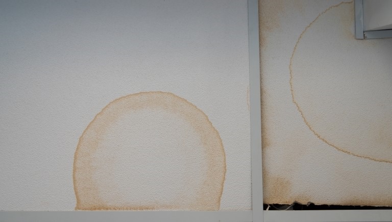 4 دلیل زردی گچ سقف و دیوار + روش‌ مؤثر برطرف کردن آن