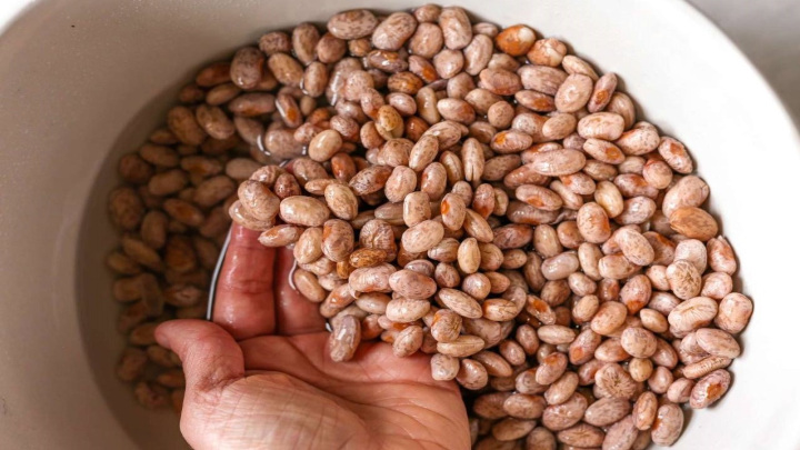 بذر لوبیا چیتی برای کاشت