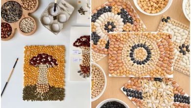 کاردستی با حبوبات؛ 45 ایده جذاب و آموزشی برای بچه مدرسهای ها