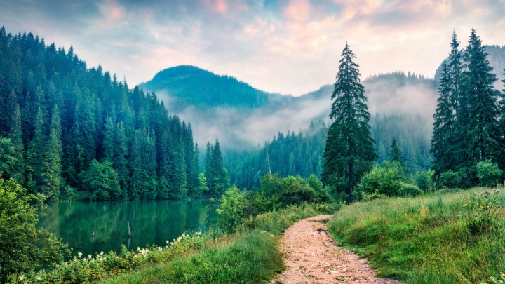 کاهش استرس بدن با کمک طبیعت