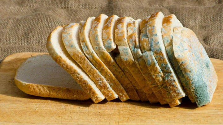 استفاده از ظروف شیشه‌ای درب‌ محکم برای جلوگیری از کپک