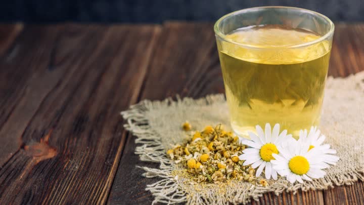 بابونه شناخته‌شده‌ترین آرام‌بخش در جهان