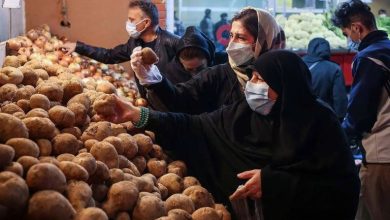 جزئیات خرید میوه و تره بار با کالابرگ