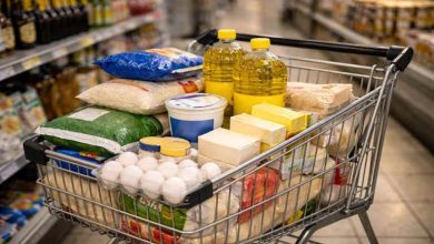 همه چیز درباره کالابرگ بهمن ماه 1404