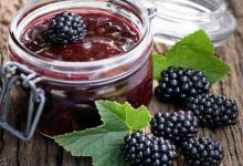 طرز تهیه مارمالاد شاتوت+ نکات شکرک نزدن آن