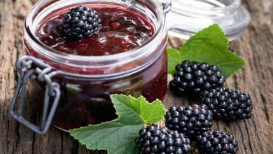 طرز تهیه مارمالاد شاتوت+ نکات شکرک نزدن آن