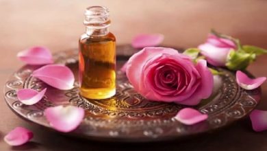 طرز تهیه روغن گل محمدی+ کاردبرهای آن