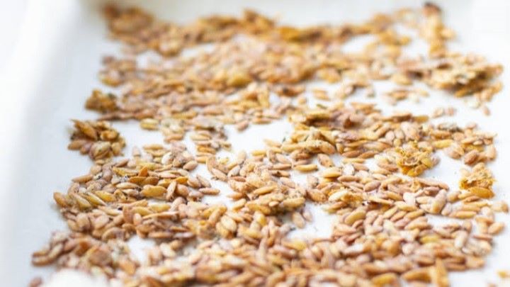 چطور از تخمه طالبی استفاده کنیم؟