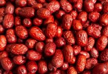 15 خواص عناب؛ فواید شگفت‌انگیز این میوه کوچک برای سلامت بدن