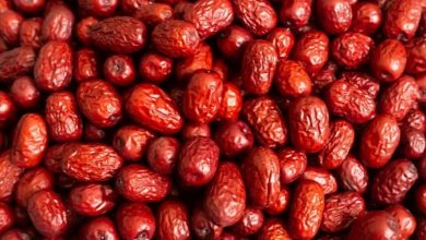 15 خواص عناب؛ فواید شگفت‌انگیز این میوه کوچک برای سلامت بدن