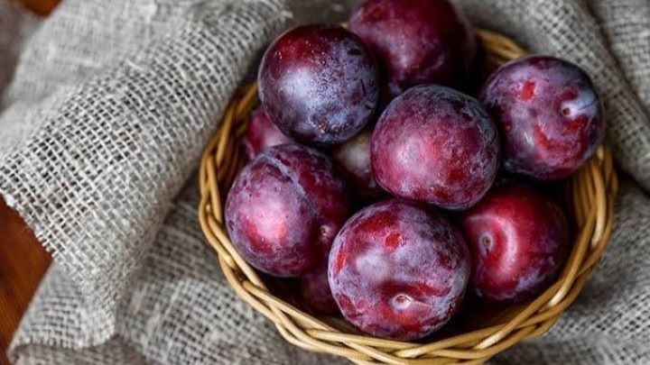 خواص آلو برای مغز خواص آلو برای مغز