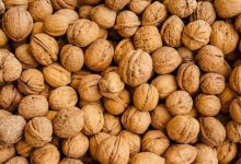12 خاصیت گردو که باید بدانید؛ از سلامت قلب تا تقویت مغز