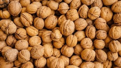 12 خاصیت گردو که باید بدانید؛ از سلامت قلب تا تقویت مغز