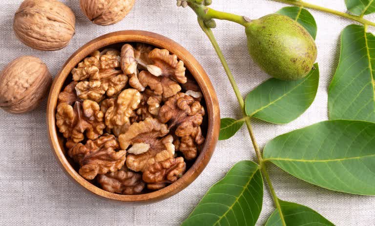۱۰ روش خشک کردن گردو سبز؛ با پوست و بدون پوست