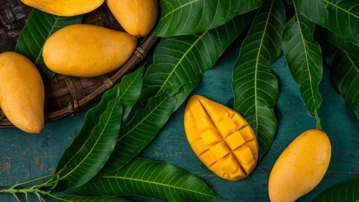 خواص انبه برای پوست خواص انبه برای پوست