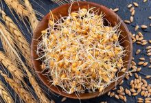11 خاصیت جوانه گندم که باید بدانید؛ از انرژی بیشتر تا سلامت پوست