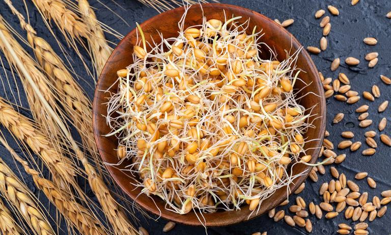 11 خاصیت جوانه گندم که باید بدانید؛ از انرژی بیشتر تا سلامت پوست