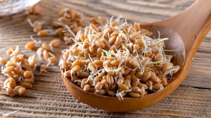گنجاندن جوانه گندم در رژیم غذایی