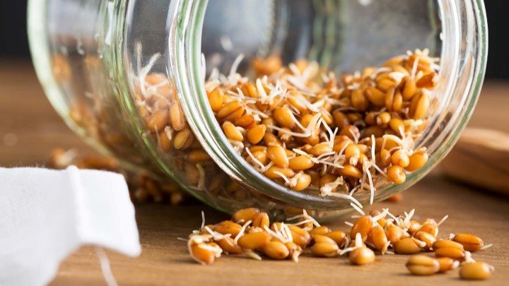 خواص جوانه گندم برای پوست و مو
