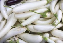 9 خواص شگفت‌انگیز بادمجان سفید؛ صیفی متفاوت و پرخاصیت